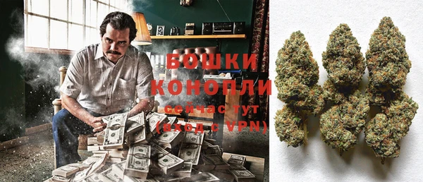 гидра Бородино