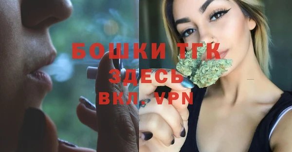 гидра Бородино