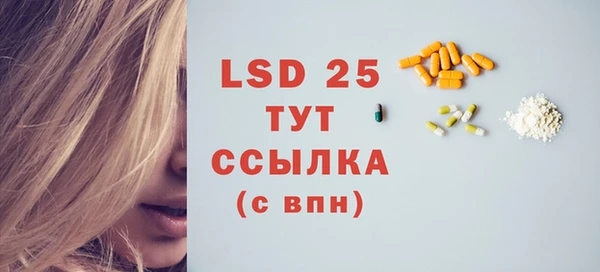 гидра Бородино
