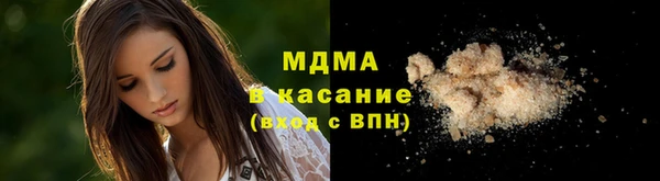 гидра Бородино