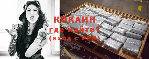 гидра Бородино
