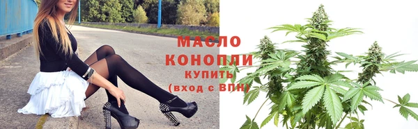 прущий лед Богданович