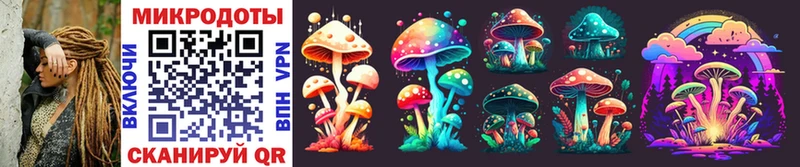 Галлюциногенные грибы Cubensis  наркошоп  Красноармейск 