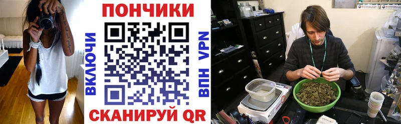 продажа наркотиков  Красноармейск  Бошки Шишки сатива 